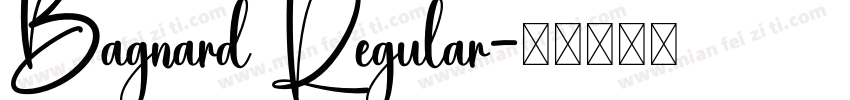 Bagnard Regular字体转换